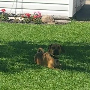 Meet your Posher, Kim